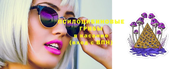 ECSTASY Алзамай