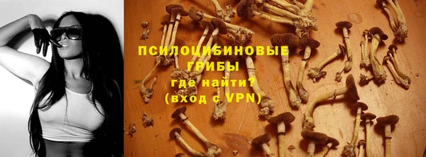 бутират Белокуриха