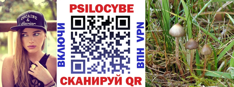 Галлюциногенные грибы Magic Shrooms Северобайкальск